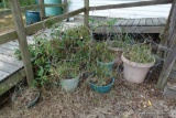 ASSORTED PLANTERS AND METAL WIRE MESH