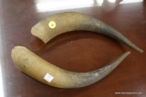 COW HORNS