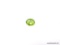 1.97 CT OVAL CUT PERIDOT 10X8X4