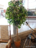 ARTIFICIAL FICUS