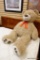 LARGE OVERSTUFFED TEDDY BEAR