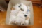 PORCELAIN ANIMALS BOX LOT