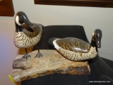 (DUCK) CARVED DUCK DECOR OF CANADIAN GEESE BY HERB DAISEY JR. ON DRIFTWOOD: 7 IN X 6 IN