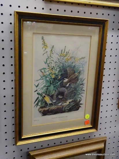 FRAMED NEW YORK HISTORICAL SOCIETY BIRD PRINT; VINTAGE 1966 NEW YORK HISTORICAL SOCIETY PRINT OF