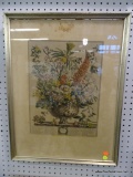 (WALL2) FRAMED FLORAL IDENTIFICATION PRINT; 