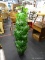 FAUX POTTED FICUS TREE; GREEN IN COLOR AND IN A MOLDED PLANTER POT BELOW. MEASURES 44 IN TALL AND IS
