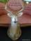 MOUNTED DEER HEAD; 8 PT PINTO DEER HEAD MOUNTED TO A SHIELD SHAPED WOODEN PLAQUE. MEASURES 15 IN