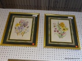 (WALL 1) PAIR OF FRAMED BOTANICAL PRINTS; THIS LOT CONTAINS TWO BOTANICAL PRINTS . ONE IS CROCUS AND