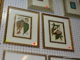 (WALL 1) PAIR OF FRAMED BOTANICAL PRINTS; THIS LOT CONTAINS TWO BOTANICAL PRINTS . ONE IS BEGONIA