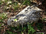 (OUT) ALLIGATOR BUST; ADD A SENSE OF EXCITEMENT TO YOUR YARD WITH THIS DECORATIVE PIECE! SCARE YOUR