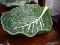 CABBAGE LEAF POTTERY; THIS LOT INCLUDES A LARGE SERVING BOWL MADE TO LOOK LIKE A PIECE OF CABBAGE.