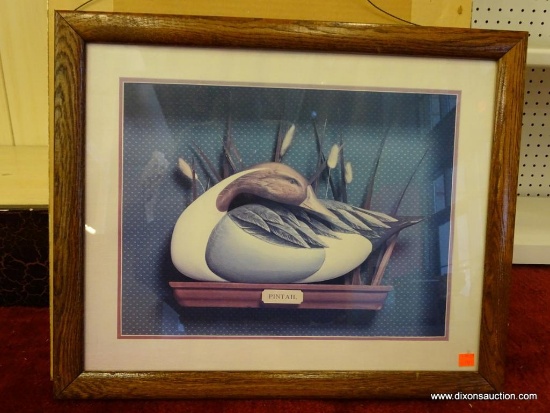 PINTAIL UNKNOWN ARTIST; PRINT. AMERICAN 20TH C. CREAM MAT WITH DARK WOOD FRAME. STILL-LIFE IMAGE OF