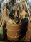 (SHED 1) METAL BARREL LOT; INCLUDES A LARGE OIL DRUM STYLE BARREL WITH CONTENTS OF SHOVELS, A METAL