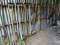 (SHED 5) LOWER WALL LOT; TOOLS TO INCLUDE TREE PLANTER, GRUBBING HOES, PICK AX, WIRE STRETCHER, 8