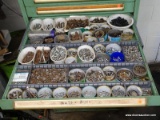 (SHOP 2) DRAWER LOT; INCLUDES NUTS, BOLTS, MACHINE SCREWS, AND MORE!