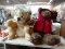 (B1B) 2 PLUSH ANIMAL LOT; INCLUDES A LION PLUSH ANIMAL AND A GUND TEDDY BEAR 