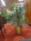 ARTIFICIAL FERN PLANT; SITS IN A WOVEN BASKET. LEAVES SPAN APPROXIMATELY 32 IN, AND THE PLANT STANDS