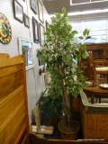 ARTIFICIAL FICUS TREE; LEAVES APPEAR FROSTED. SITS IN A WOVEN BASKET. STANDS APPROXIMATELY 91 IN