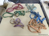 LOT OF ASSORTED HALTERS; LOT INCLUDES 6 NYLON HALTERS. 2 ARE WEAVER 1 IN AVERAGE HORSE, 1 IN WEAVER