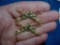 25 Pair of US Army Armor Corps Officers Uniform Collar Insignia Pins . Pair of US Army Armor Corps