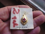 Vintage Gold Plated & Enamel ARC Red Cross 2 Gallon Blood Donation Pin Vintage American Red Cross