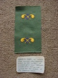 Original 1950s US Army Chemical Corps BOS Badges on OG Twill Cloth I bought an album full of