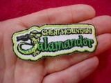 CHEAT MOUNTAIN SALAMANDER West Virginia Railroad Souvenir Patch West Virginia Railroad souvenir