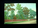 pc53 . Vintage Postcard Seven Pines, Richmond VA Civil War Battlefield Cemetery . The post card