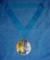 3?? Enamel & Bronze Taekwondo America Regional Award Neck Medal . Huge Taekwondo America Regional