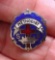 Enamel 9 Month Cross and Crown Sunday School Methodist Church Award Pin Vintage enamel pin for the