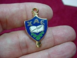 155 . Chi Alpha Epsilon National Honor Society Colorful Enamel Lapel Pin . Chi Alpha Epsilon