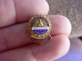 ms47 1950s era AMVETS American Veterans of World War Auxiliary Enamel Pin Nice vintage AMVETS