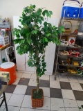 ARTIFICIAL FICUS; IS IN A BROWN WICKER PLANTER AND MEASURES APPROXIMATELY 6.5 FT TALL.