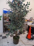 ARTIFICIAL FICUS; IS IN A BROWN WOVEN PLANTER WITH VARIEGATED LEAVES. MEASURES APPROXIMATELY 8 FT