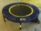 (BASE) EXERCISE TRAMPOLINE- EXERCISE TRAMPOLINE- 39 IN DIA X 10 IN H