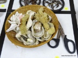 (DNRM) BASKET OF SHELLS; SMALL ROUND BASKET FILLED WITH ASSORTED SEASHELLS.