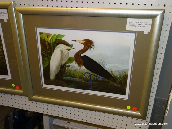 FRAMED HERON PRINT; JOHN J. AUDUBON PRINT TITLED "PURPLE HERON" OF TWO BIRD STANDING IN A SWAMP.