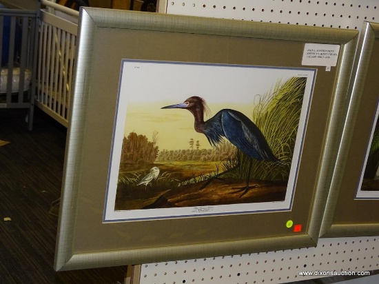 FRAMED CRANE OR HERON PRINT; JOHN J. AUDUBON PRINT TITLED "BLUE CRANE OR HERON" OF A BIRD WALKING