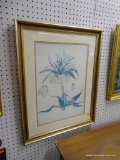 (R1) CORONA IMPERIALIS MAXIMUS PRINT; WHITE FLOWER PRINT SIGNED BY GEORG EHRET IN THE BOTTOM LEFT.