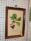 (R6) FRAMED PRINT; VINTAGE PRINT OF A CHERRIES STILL ON THE BRANCH WITH WRITING AT THE BOTTOM.
