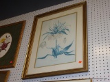 (BACKWALL) CORONA IMPERIALIS MAXIMUS PRINT; WHITE FLOWER PRINT SIGNED BY GEORG EHRET IN THE BOTTOM