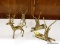 (R1) BRASS DEER AND ANTELOPE FIGURINES; 4 PIECE LOT TO INCLUDE 2 ANTELOPE FIGURINES LAYING DOWN AND