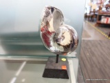 (R3) SEA SHELL; RESIN SEA SHELL WITH A CHROME FINISH SITTING ON A BLACK METAL STAND. MEASURES 10 IN