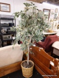 (R3) LARGE FAKE TREE IN WOVEN BASKET; LARGE FAKE TREE SITTING IN A WOVEN BASKET. MEASURES ABOUT