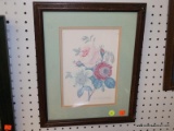 (WALL) ROSE IDENTIFICATION PRINT; IS IN A MAHOGANY FRAME WITH GOLD AND GREEN MATTING AND MEASURES 13