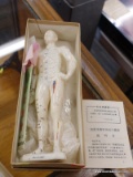 (R1) ACUPUNCTURE DOLL; DOLL WITH ORIENTAL WRITING AND PRACTICE POINTS ON IT. COMES WITH 20