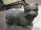 (R4) YORKSHIRE TERRIER STATUE; CONCRETE STATUE OF A YORKIE IN BLACK AND GREEN. IS IN GOOD USED