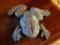 (UPROOM) IRON FROG; VIRGINIA METALCRAFTERS CAST IRON FROG- 9 IN L