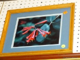 (WALL) FRAMED PHOTOGRAPHY PRINT; PICTURE OF A FLOWER WITH FLUTED PINK PETALS. DOUBLE MATTED IN 2