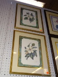 (WALL) FRAMED BOTANICAL PRINTS; PAIR OF MATCHING BOTANICAL PRINTS OF WHITE FLOWERS ON A CUT BRANCH.